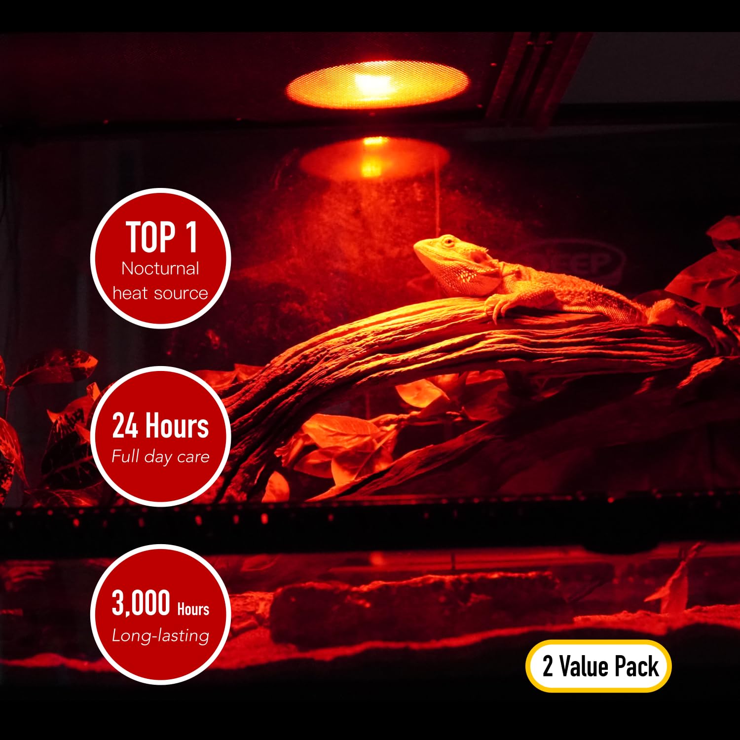 ReptiKing thermoregulation basking-area lamp creates warm zones inside the terrarium.
