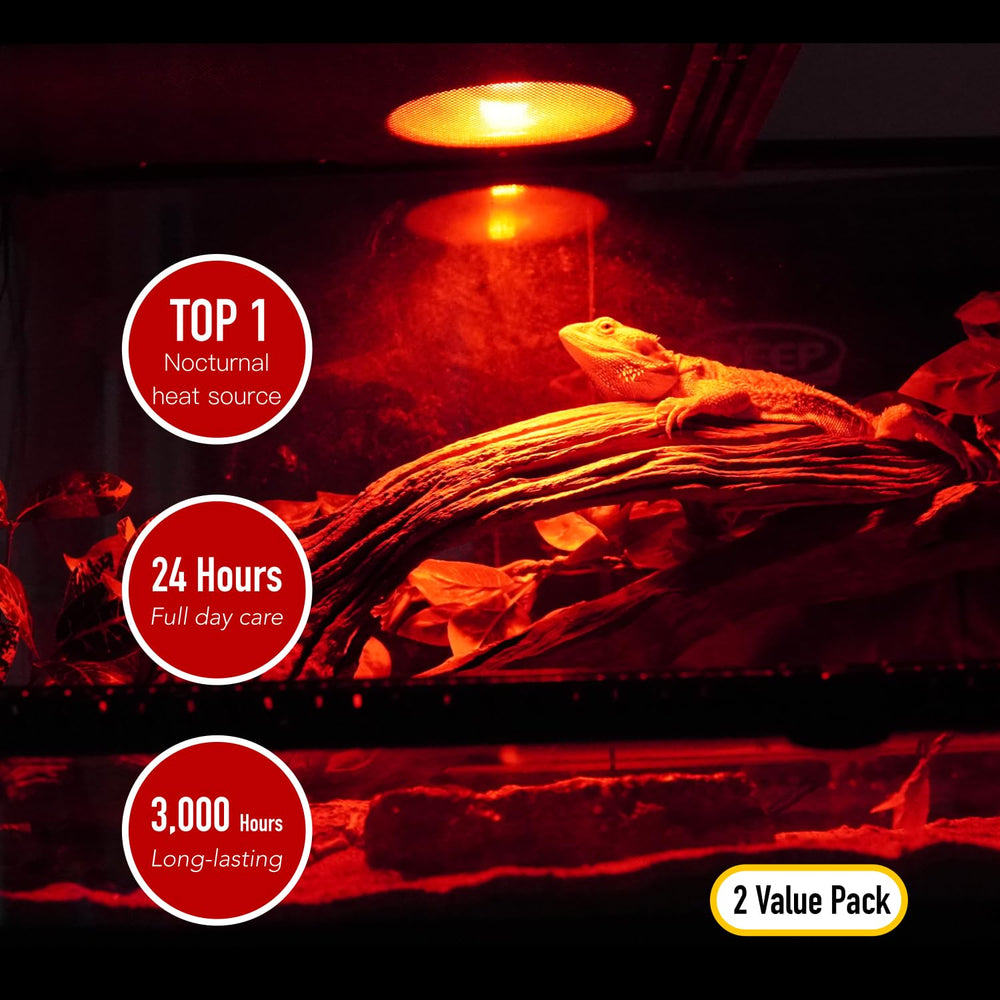 ReptiKing thermoregulation basking-area lamp creates warm zones inside the terrarium.