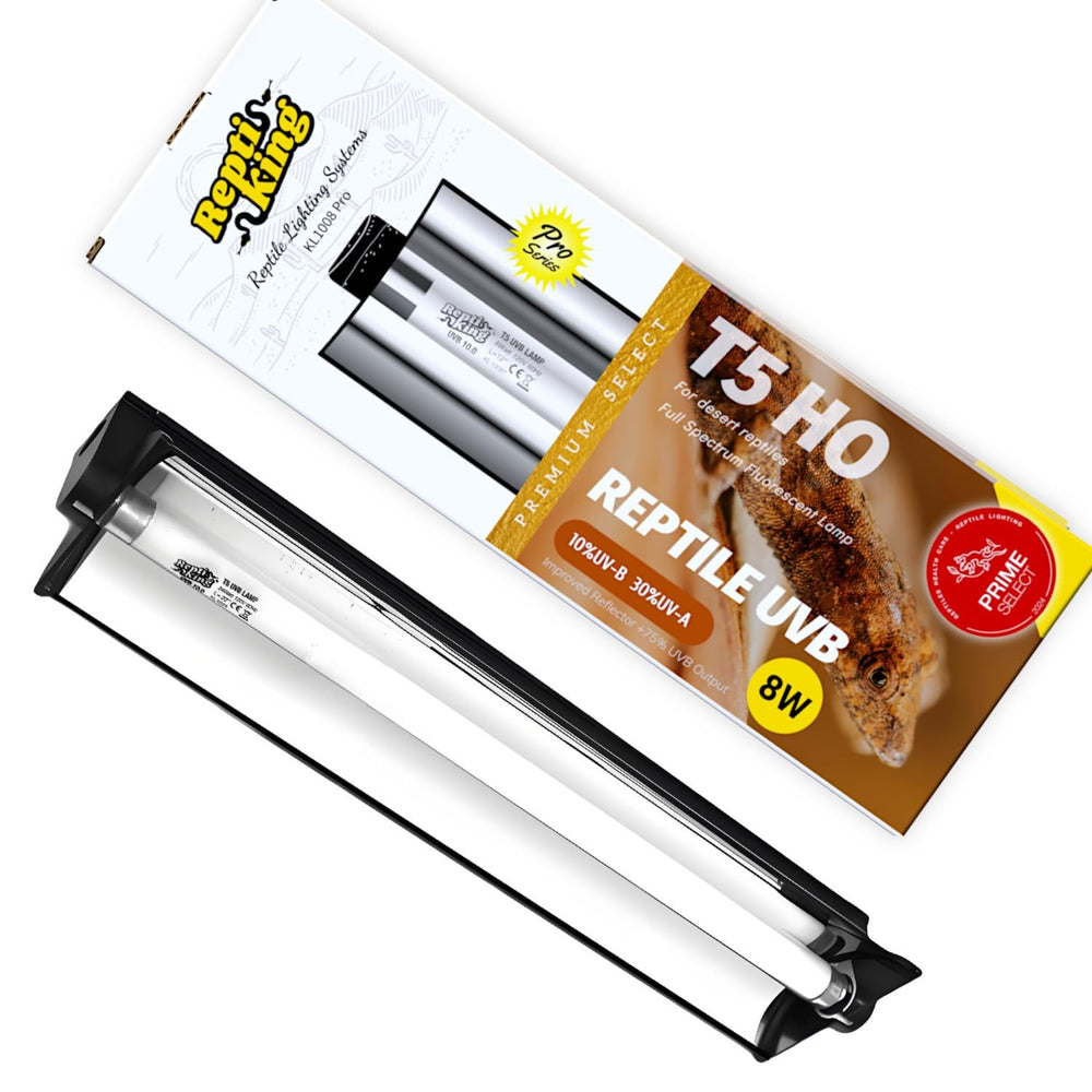 ReptiKing upgraded T5 UVB lamp bulb for desert reptiles providing essential UVB exposure for basking.