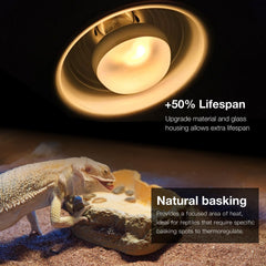 ReptiKing UV daylight bulb for bearded dragon use encourages natural activity.
