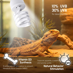 ReptiKing UVB light above a bearded dragon enclosure may boost daytime activity and appetite