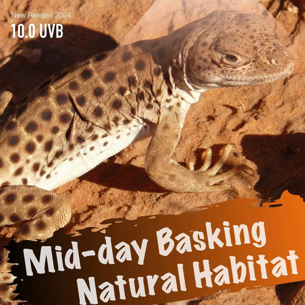ReptiKing UVB light promises long life up to 7000 hours, reducing replacements
