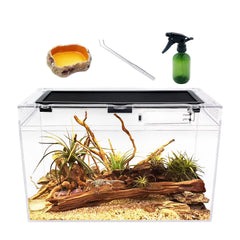 Reptile Growth 16x8x10 terrarium full-view for easy observation and care.