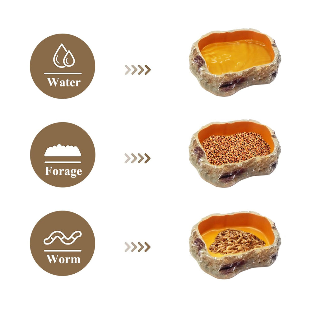 Reptile Growth feeding-tongs provide precise, clean food handling.