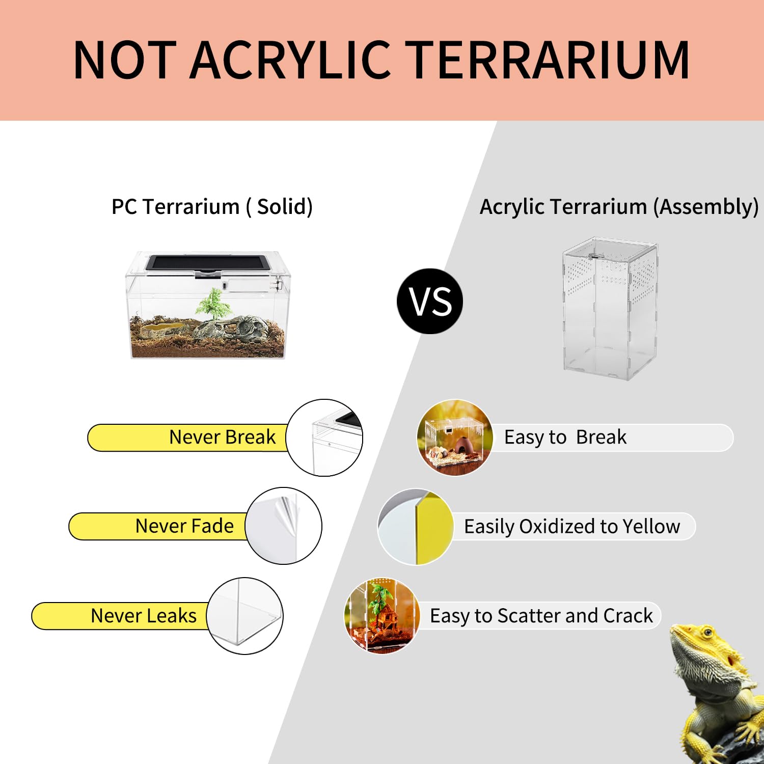 Reptile Growth Mini Terrarium dome-light usage shows adaptable lighting for species