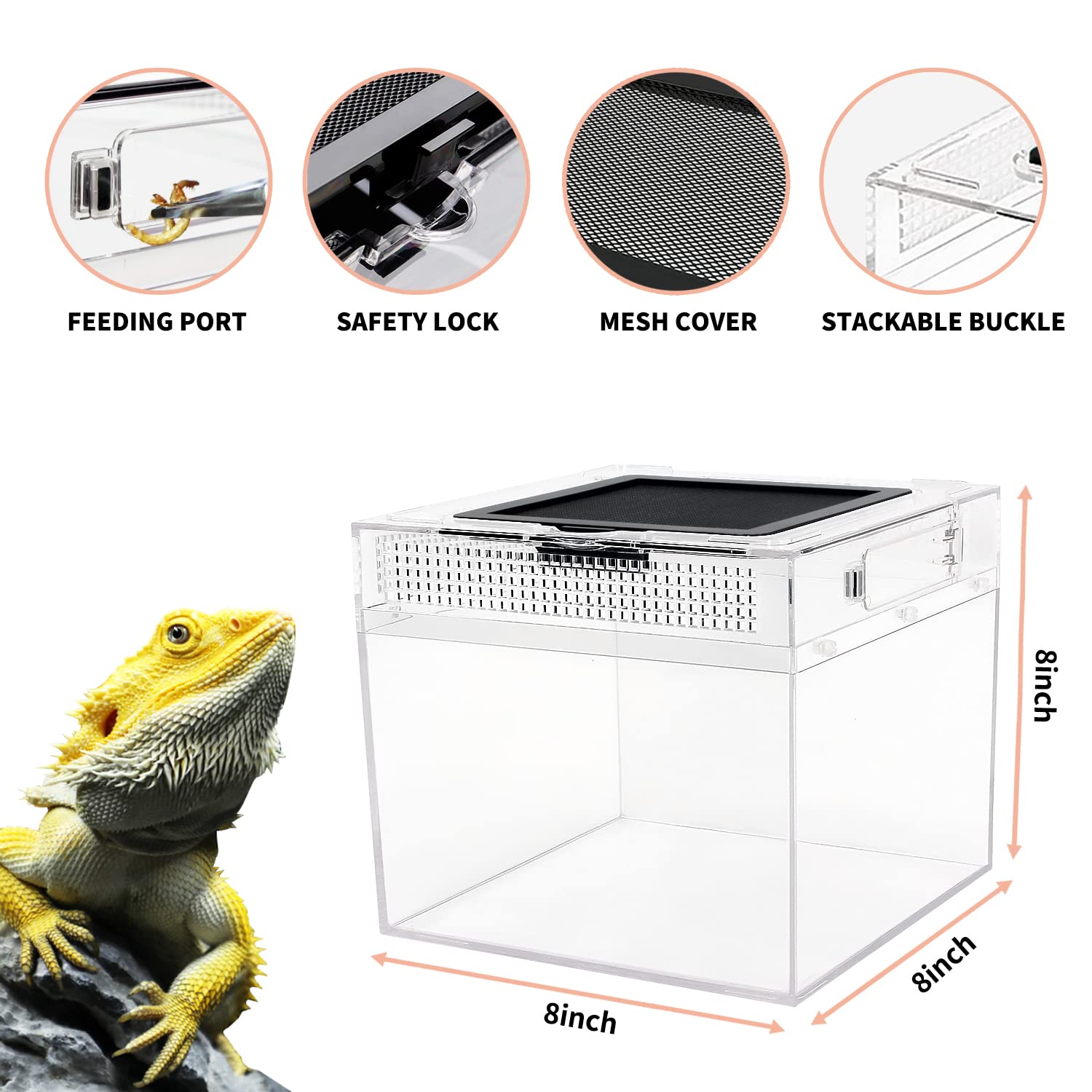 Reptile Growth mini terrarium explosion-proof PC base delivers durable construction.