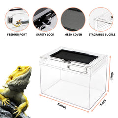 Reptile Growth mini terrarium feeding-port close-up demonstrates easy feeding.
