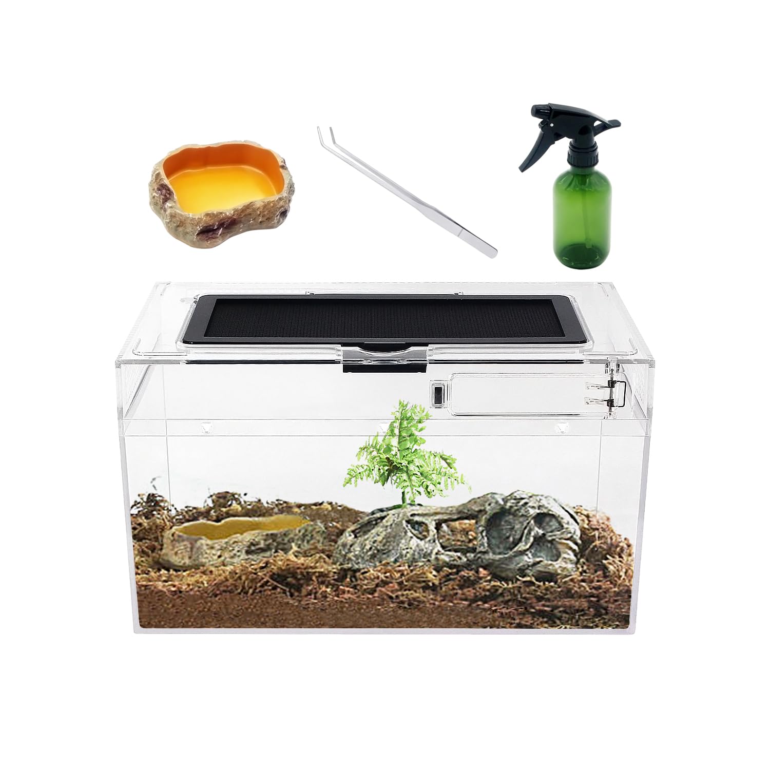 Reptile Growth Mini Terrarium front view shows clear visibility for easy monitoring