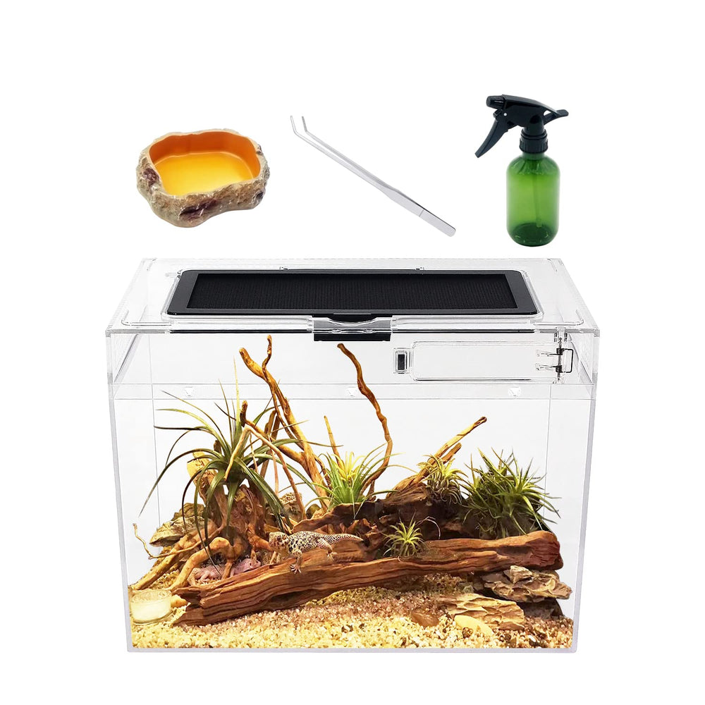 Reptile Growth mini terrarium front view highlights compact design for small pets.
