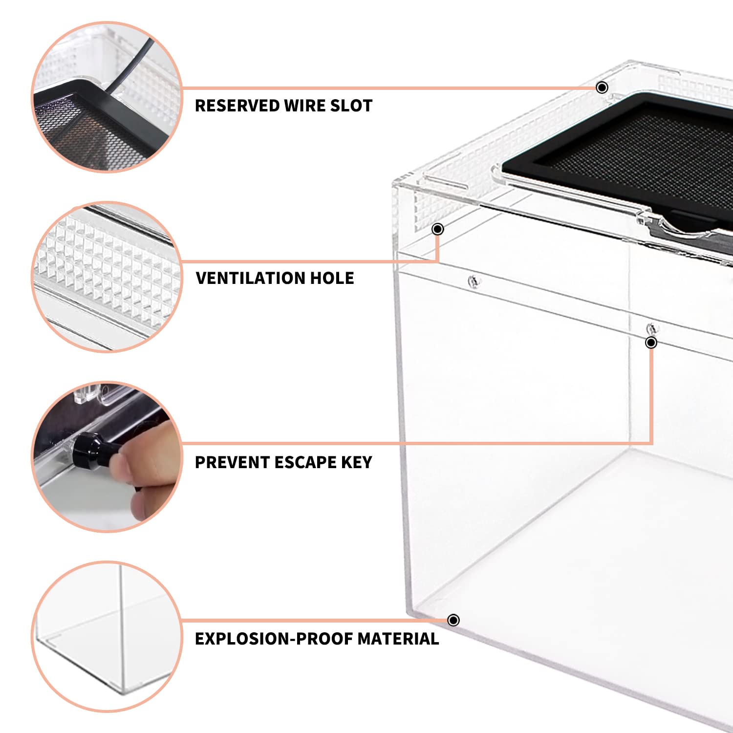 Reptile Growth mini terrarium withstands -20 to 120 °C for flexible setups.