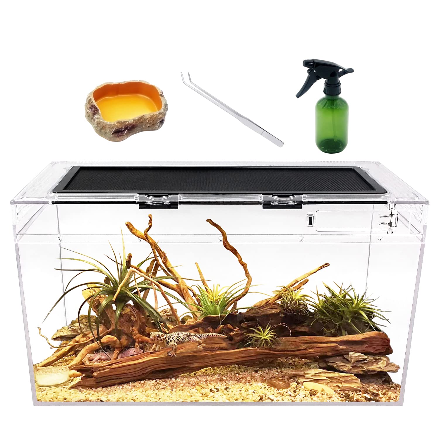 Reptile Growth terrarium 10gal front view highlights compact design for space-saving reptile housing.
