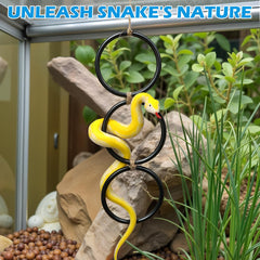 ReptileTank snake climbing rings interlocking layout for curiosity stimulation