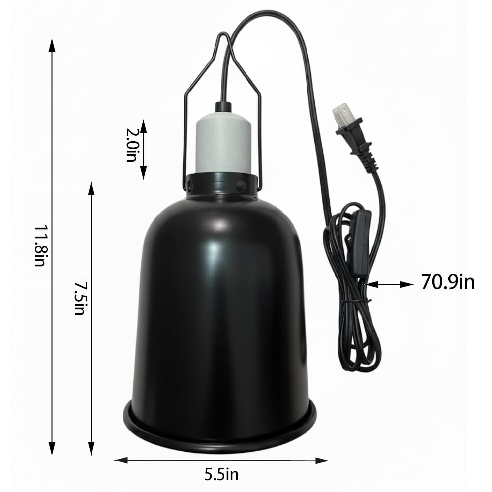 Reptilux 5.5-inch dome interior reflection boosts UVA/UVB exposure.