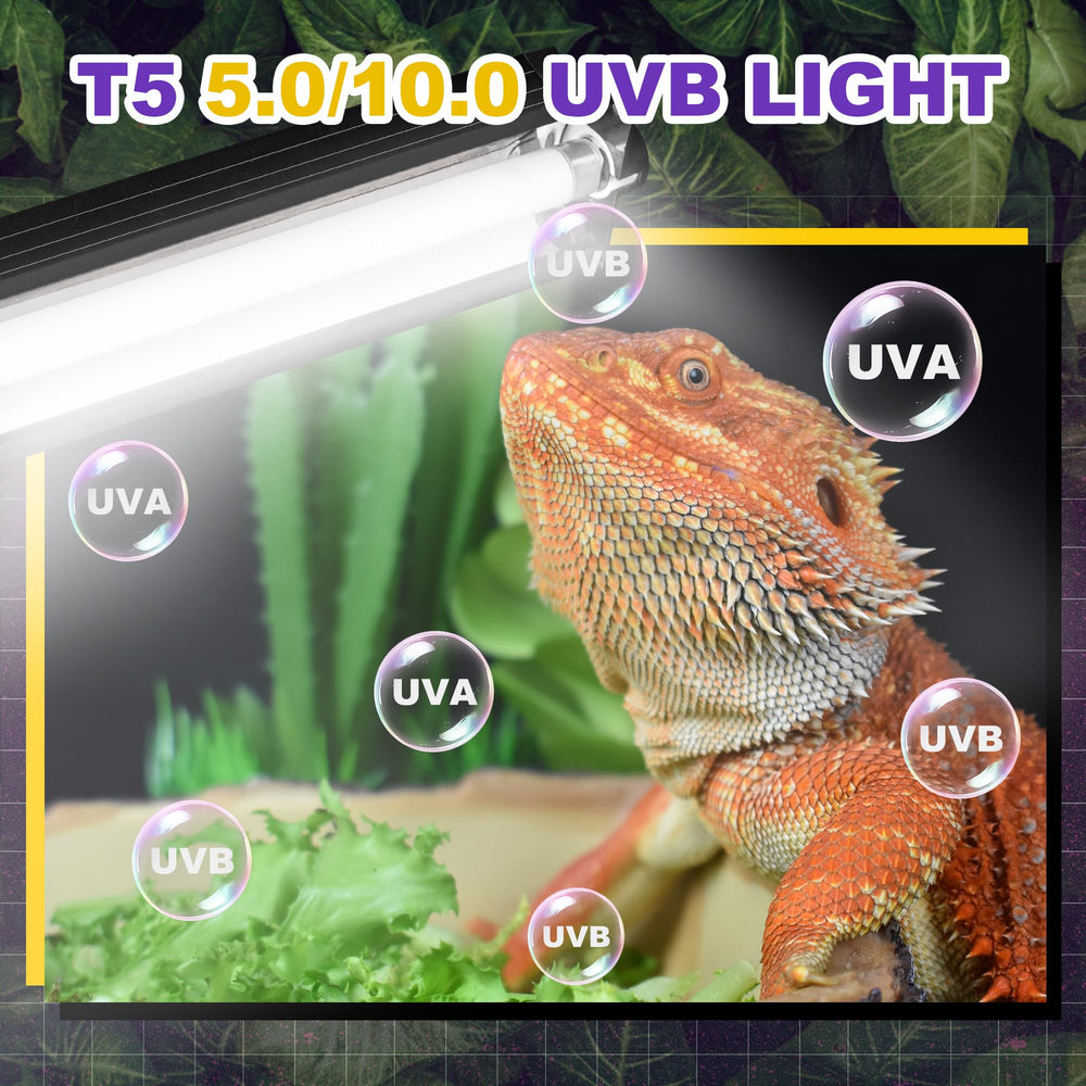 Reptispa T5 HO UVB kit in-tank enables tidy wiring and reliable illumination.