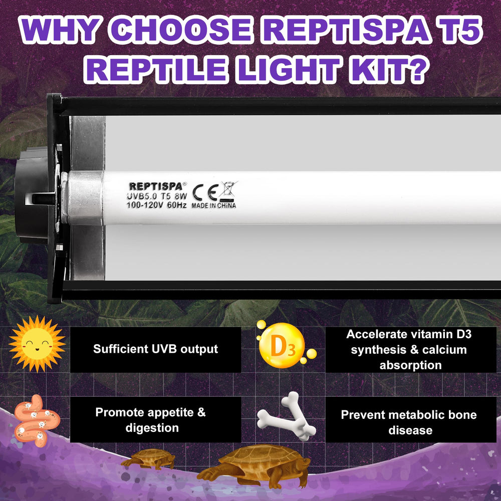 Reptispa tropical-rainforest-use image illustrates 5.0 UVB suitable for rainforest reptiles.