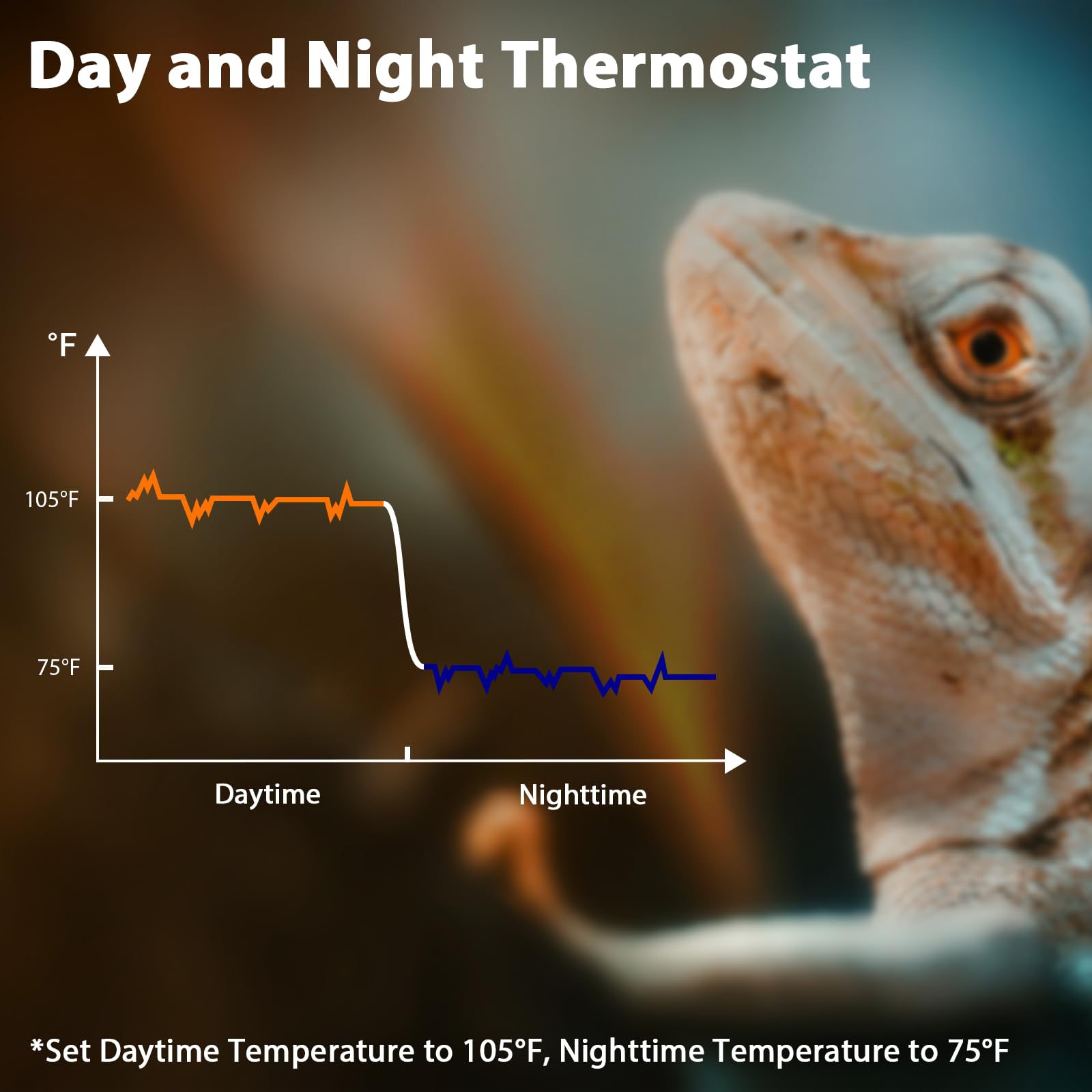 REPTITRIP 100W compatibility supports consistent warmth for bearded dragons