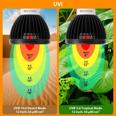 REPTITRIP 4000K warm neutral light offers gentle dawn-dusk ambience for sensitive species