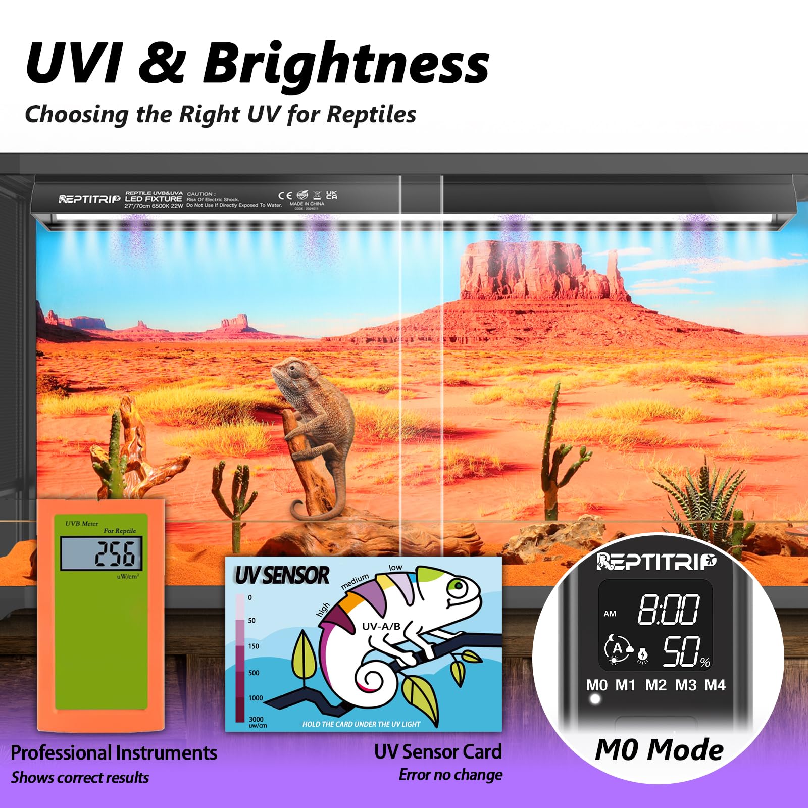 REPTITRIP 6500K cool-white light promotes natural appetite and activity.