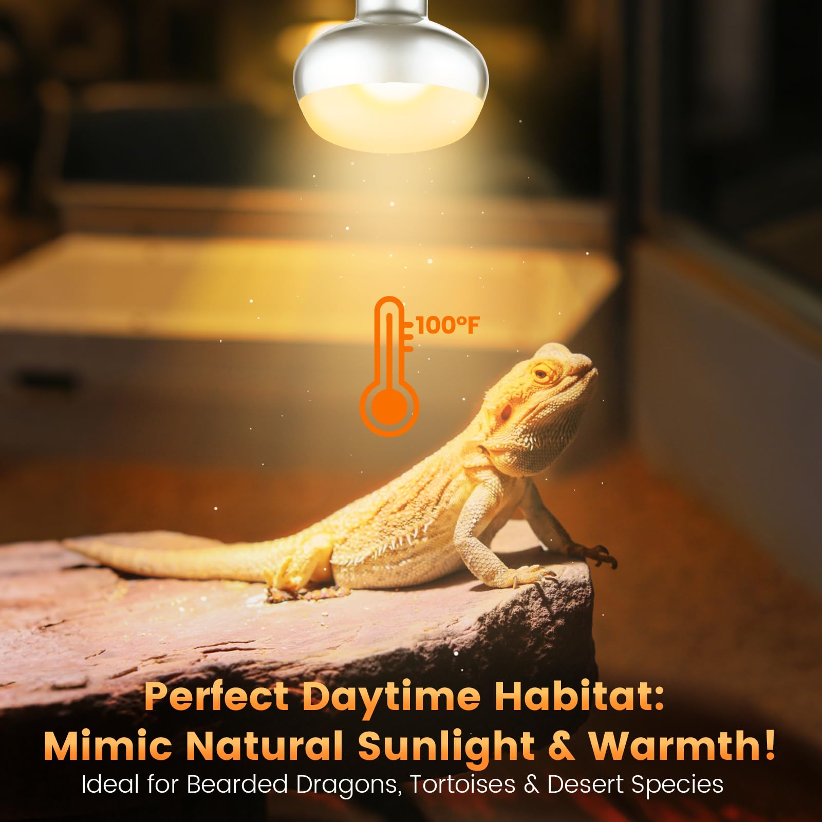 REPTITRIP-160W-socket-capability confirms high-wattage support for various reptile bulbs.
