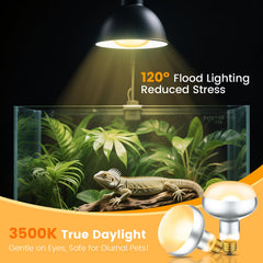 REPTITRIP independent-switch-view displays two switches enabling separate heat and lighting control.
