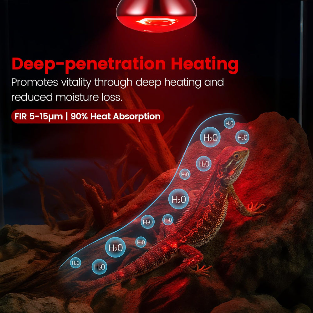 REPTITRIP-ventilation-closeup reveals top vents that promote efficient heat dissipation.