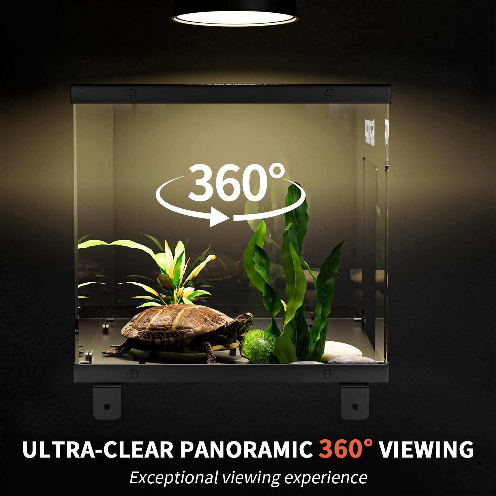 REPTITRIP expanded-space-platform shows broad basking area for natural light exposure