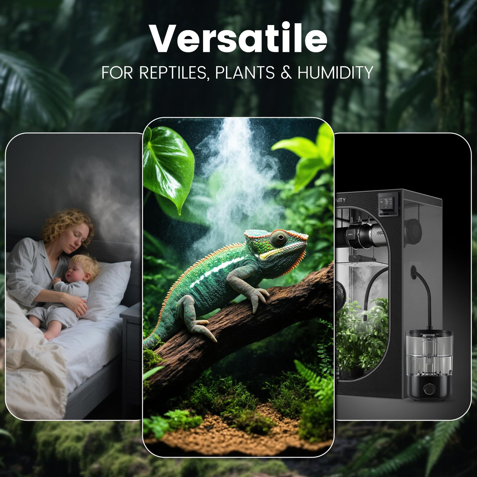 REPTITRIP mist hose placement in terrarium enables easy setup.