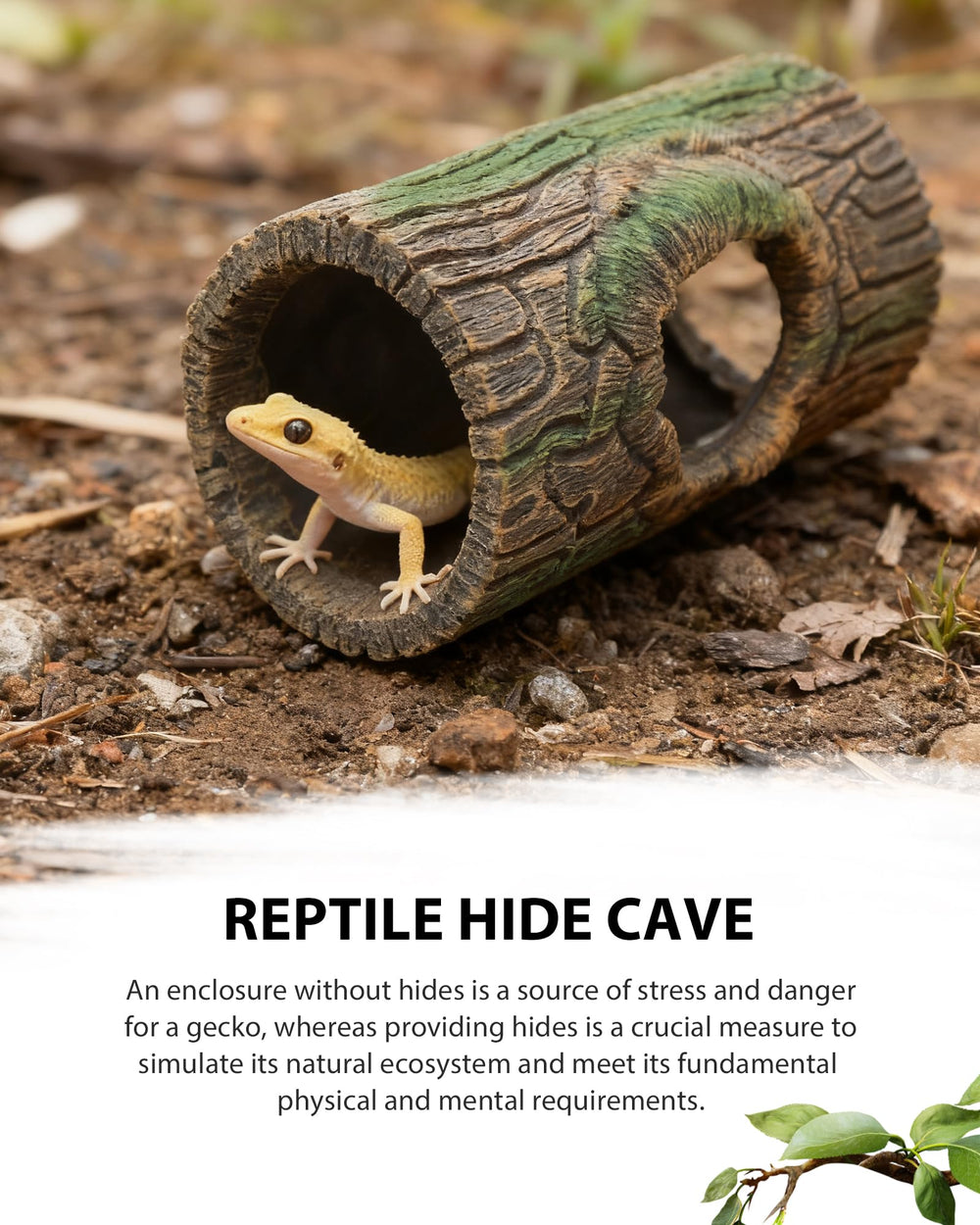 REPTITRIP terrarium decor suits arboreal reptiles amphibians and planted tanks