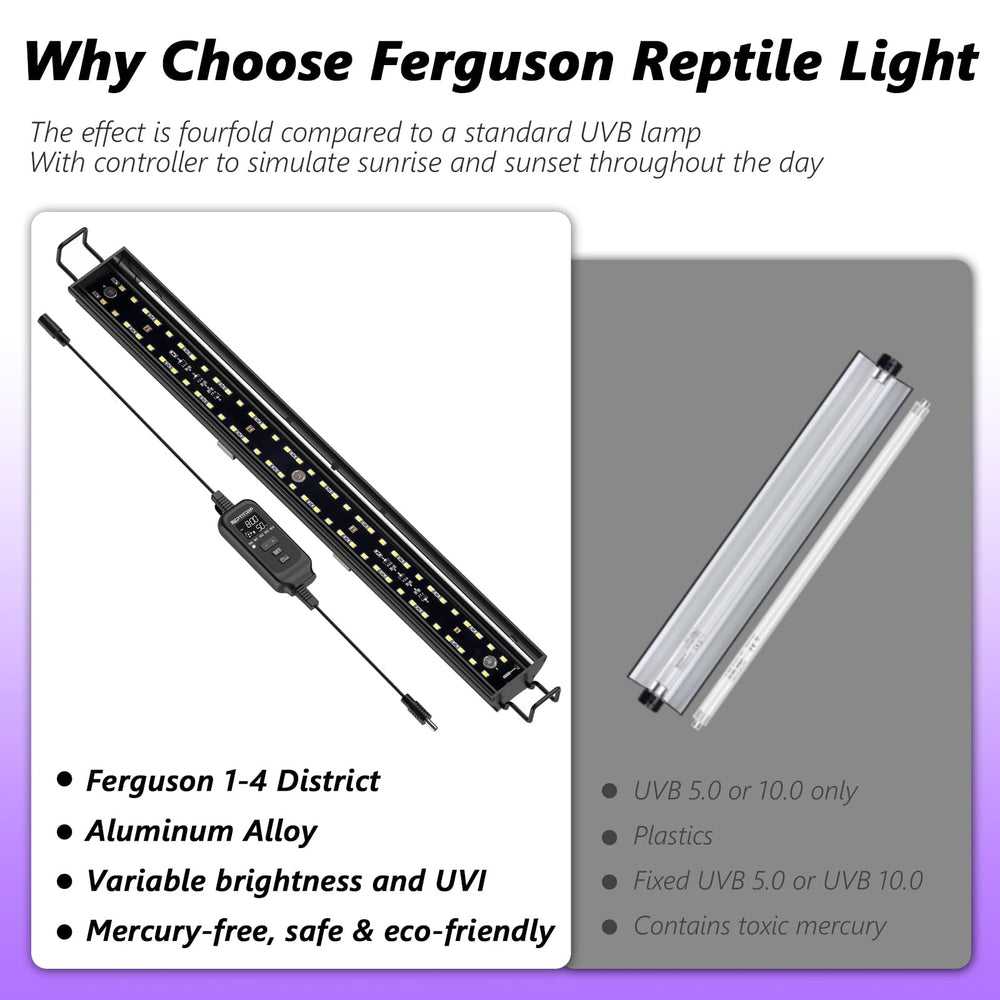 REPTITRIP 6500K cool white light provides clear enclosure visibility
