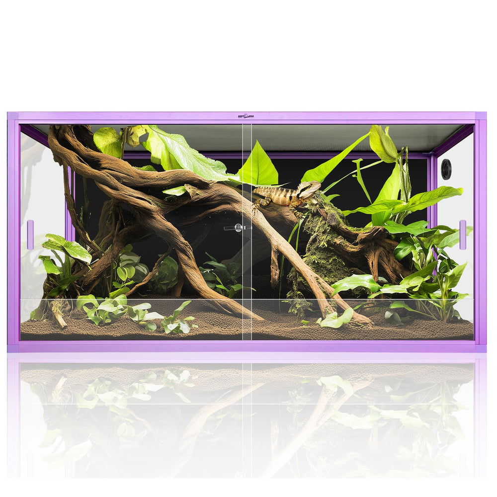 REPTI ZOO 120 gallon front view purple terrarium for spacious habitat