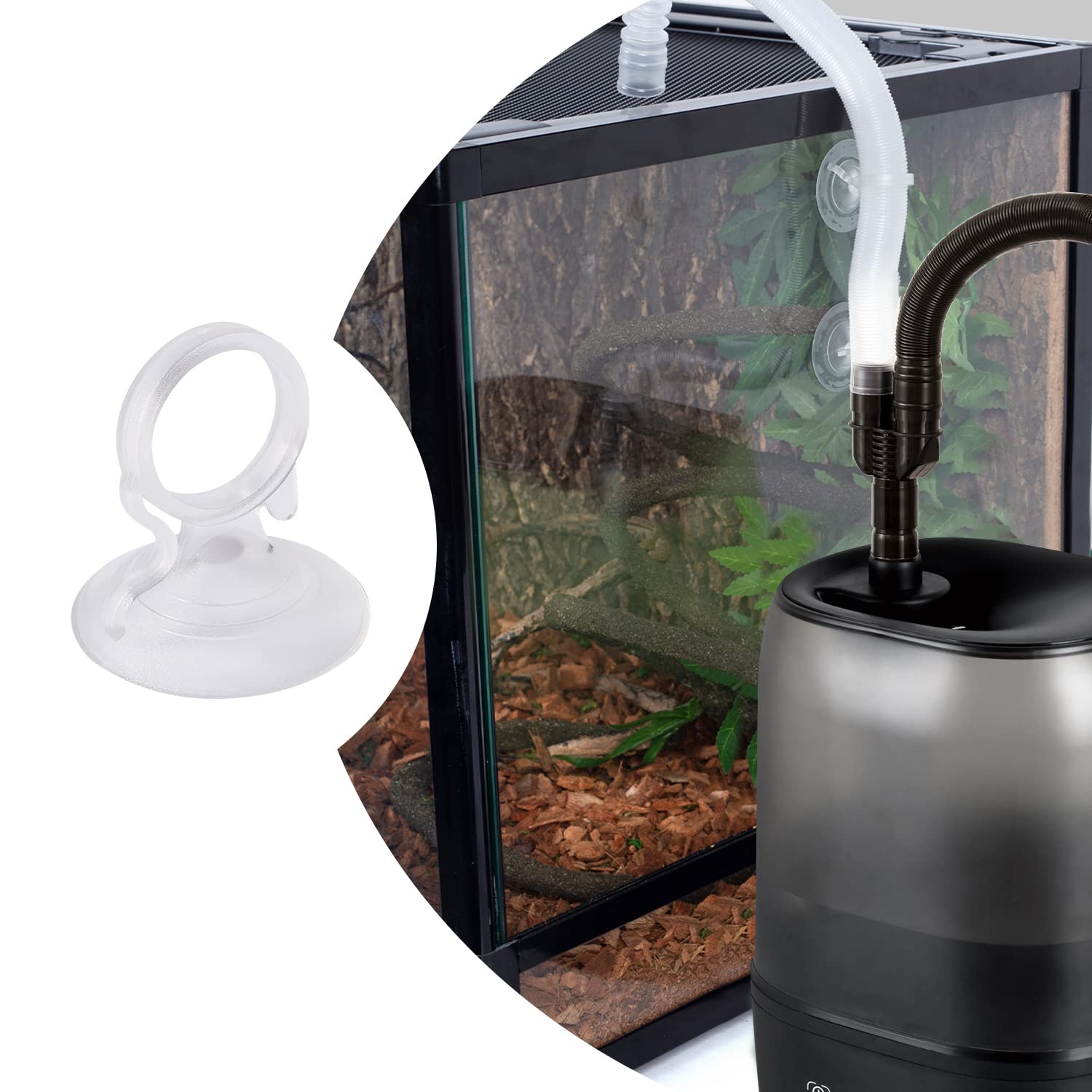 Easy-to-follow setup supports flexible terrarium arrangements.