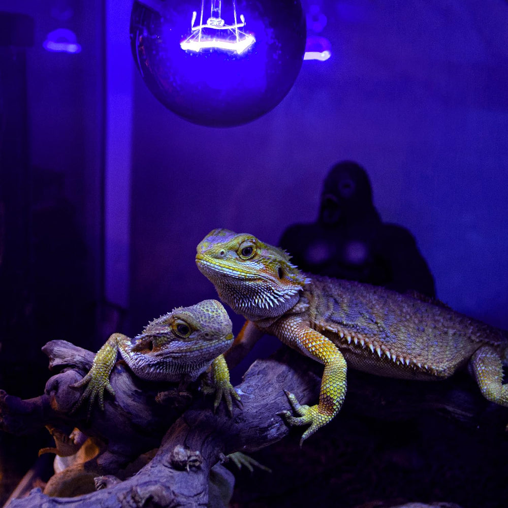 REPTIZOO after-service replacement bulbs ensure quick support