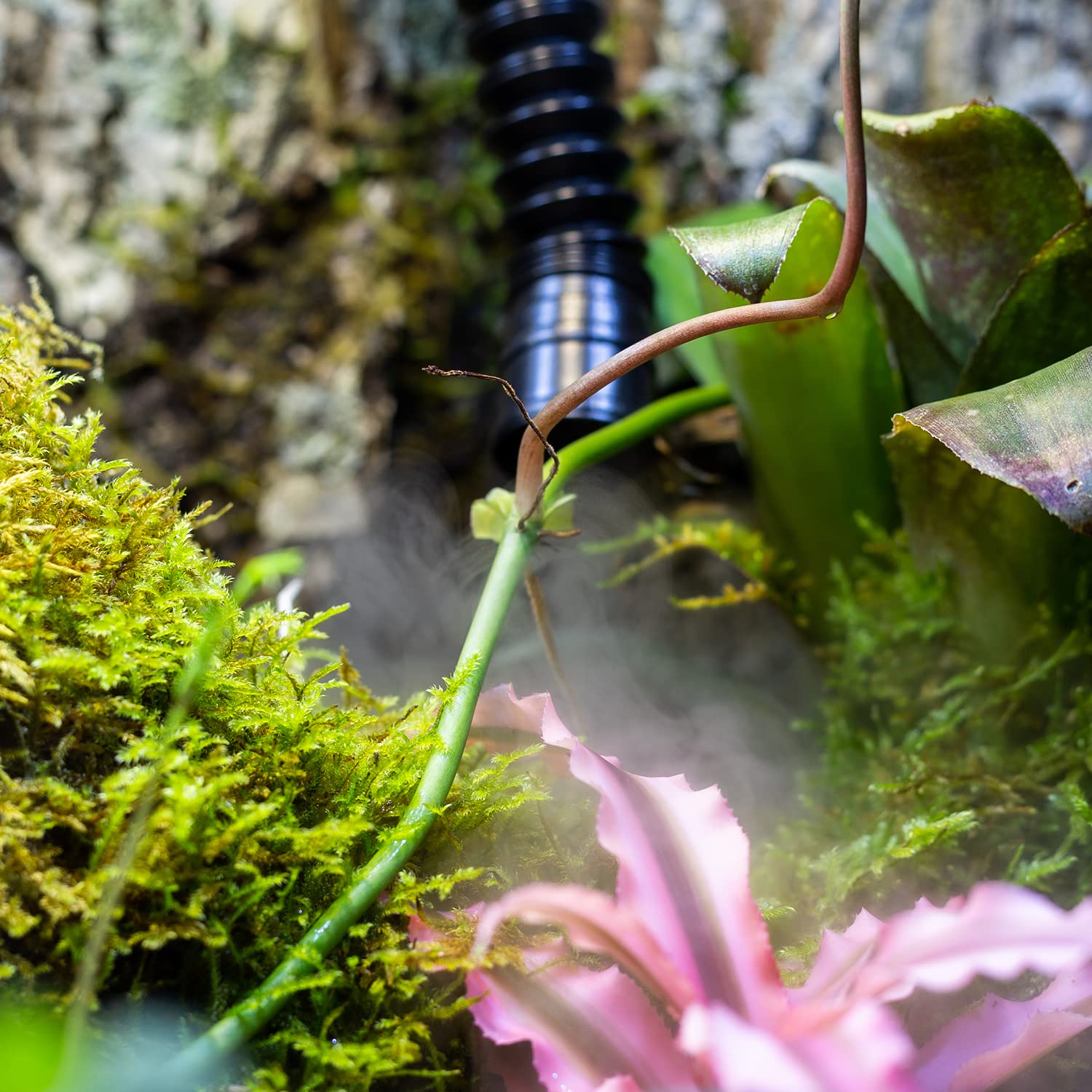 REPTIZOO auto shut off when water depletes to prevent leaks