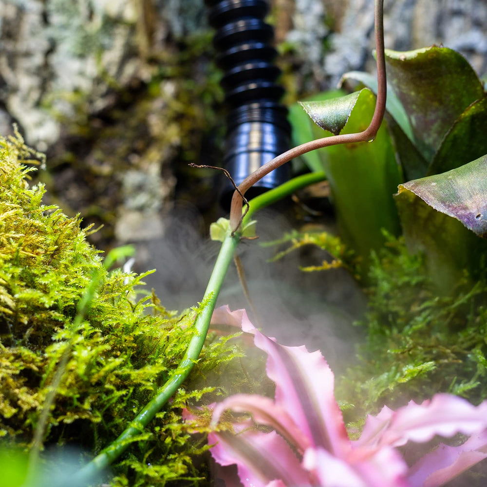 REPTIZOO auto shut off when water depletes to prevent leaks
