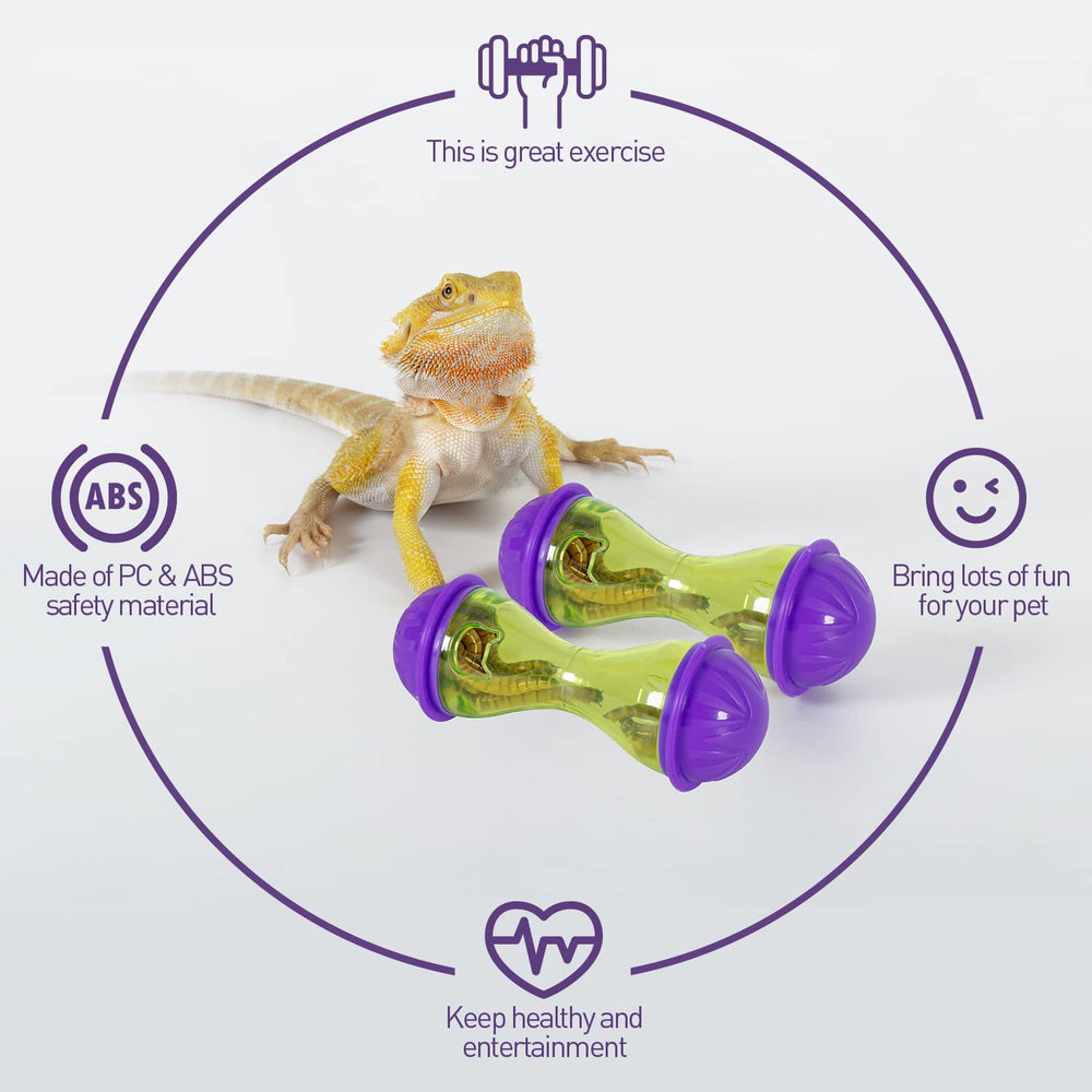 REPTIZOO bearded dragon enrichment supports daily stimulation and interactive routines