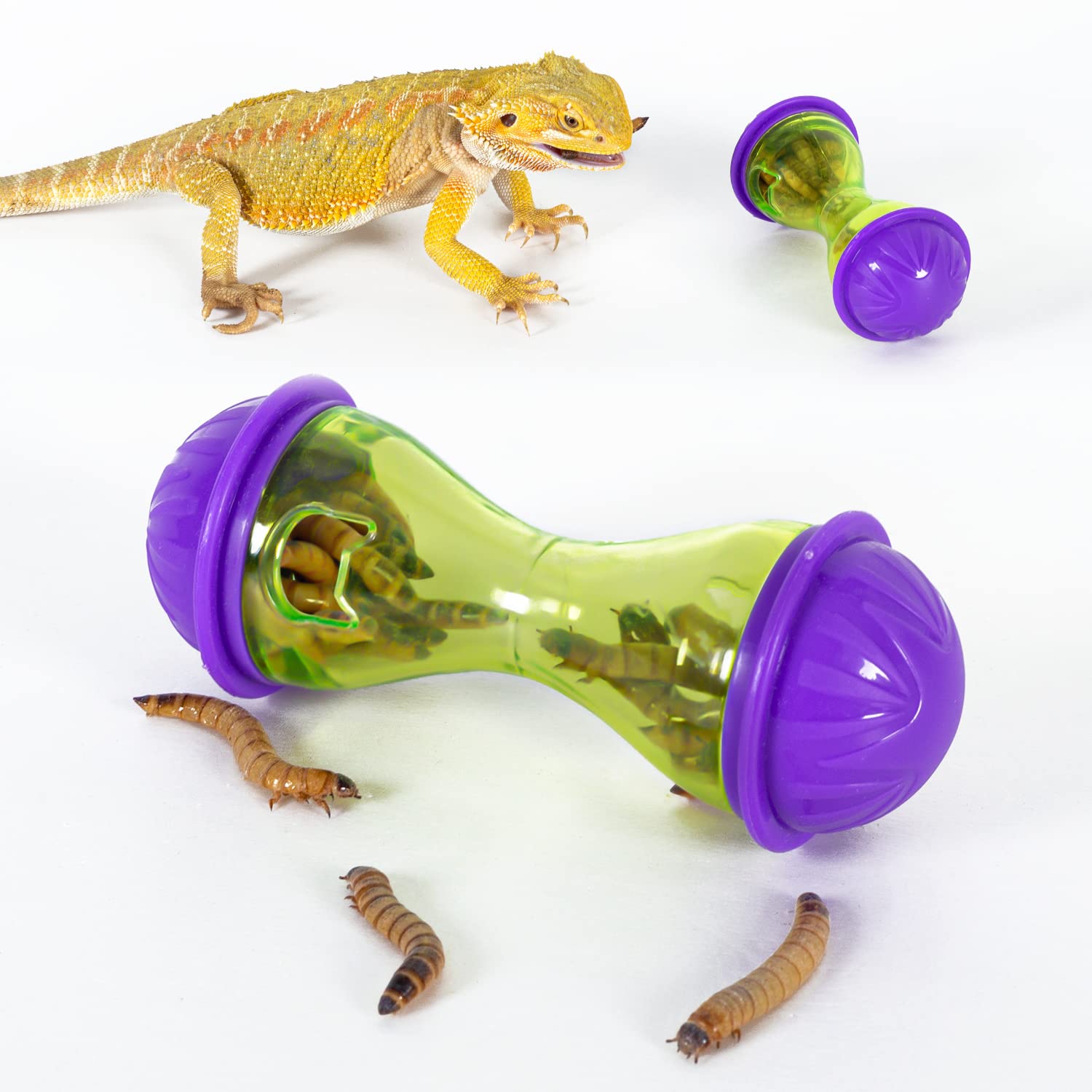 REPTIZOO bone-shaped rolling feeder sparks curiosity and encourages movement during playtime