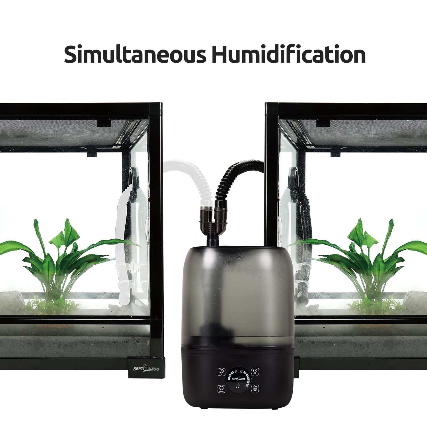 Four suction cups included for secure mounting and clean aesthetics.