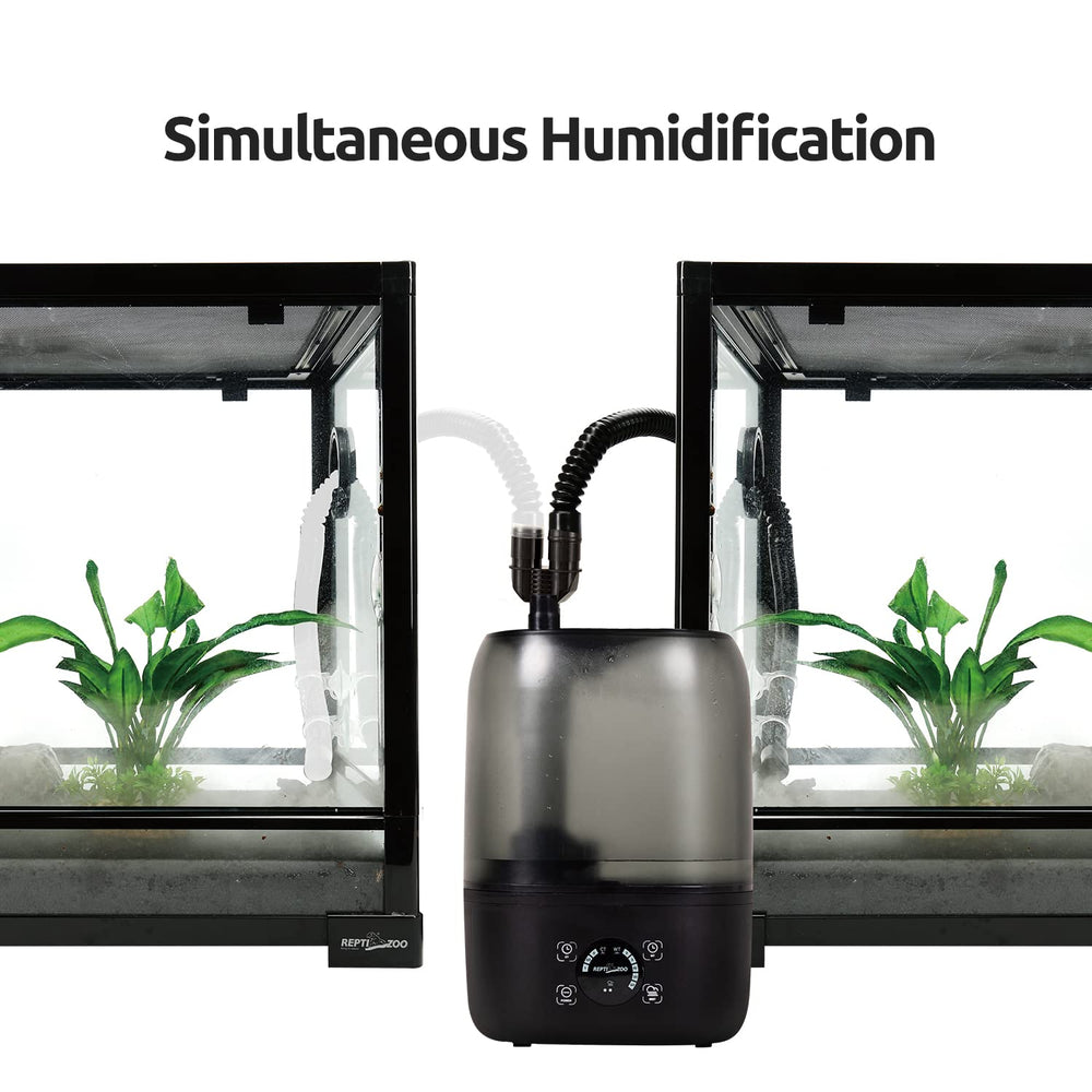 Four suction cups included for secure mounting and clean aesthetics.