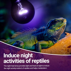 REPTIZOO E26 screw-base compatibility fits standard fixtures