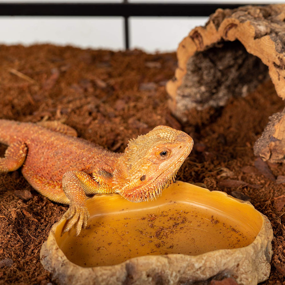 REPTIZOO dimension label image illustrating 8.8 by 6.5 inch size