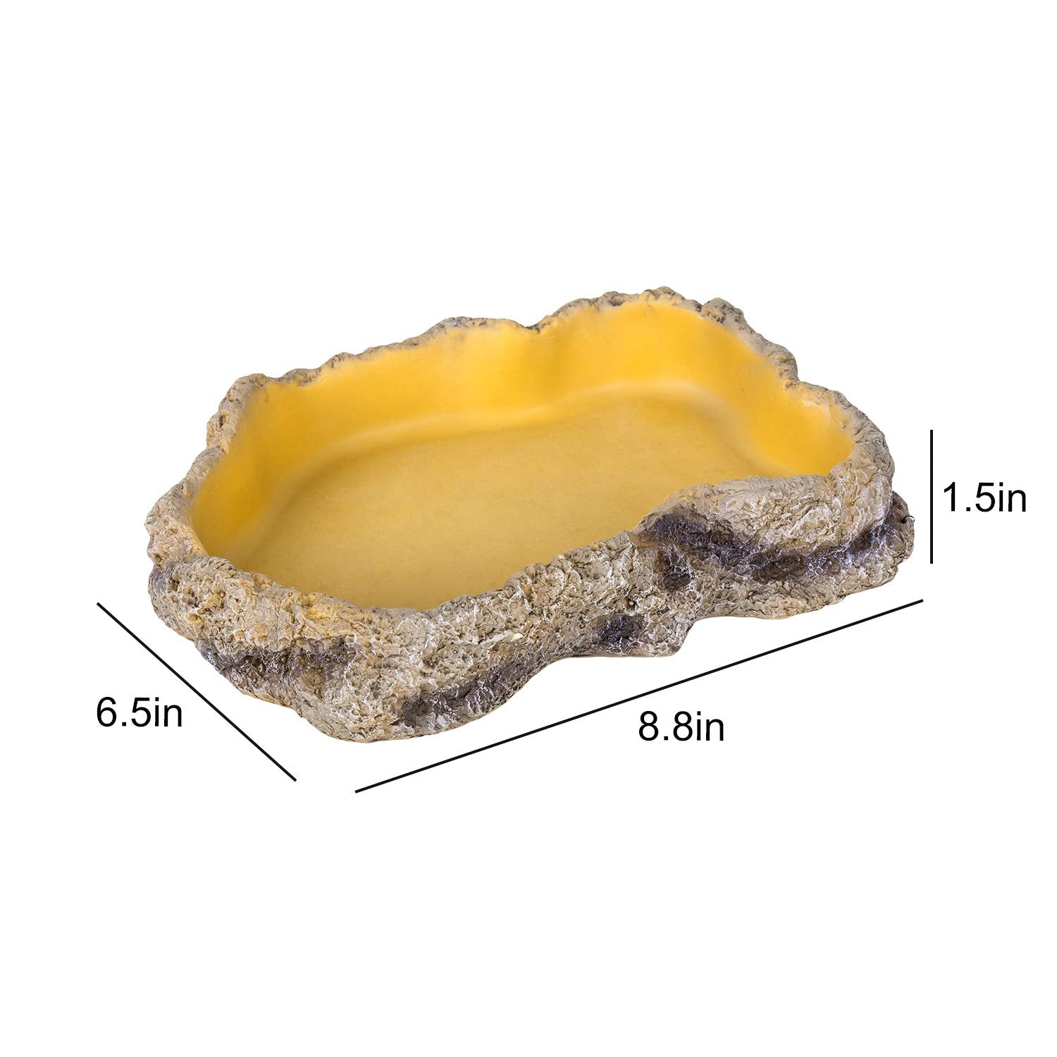 REPTIZOO earth-tone closeup highlighting soil-like color integration