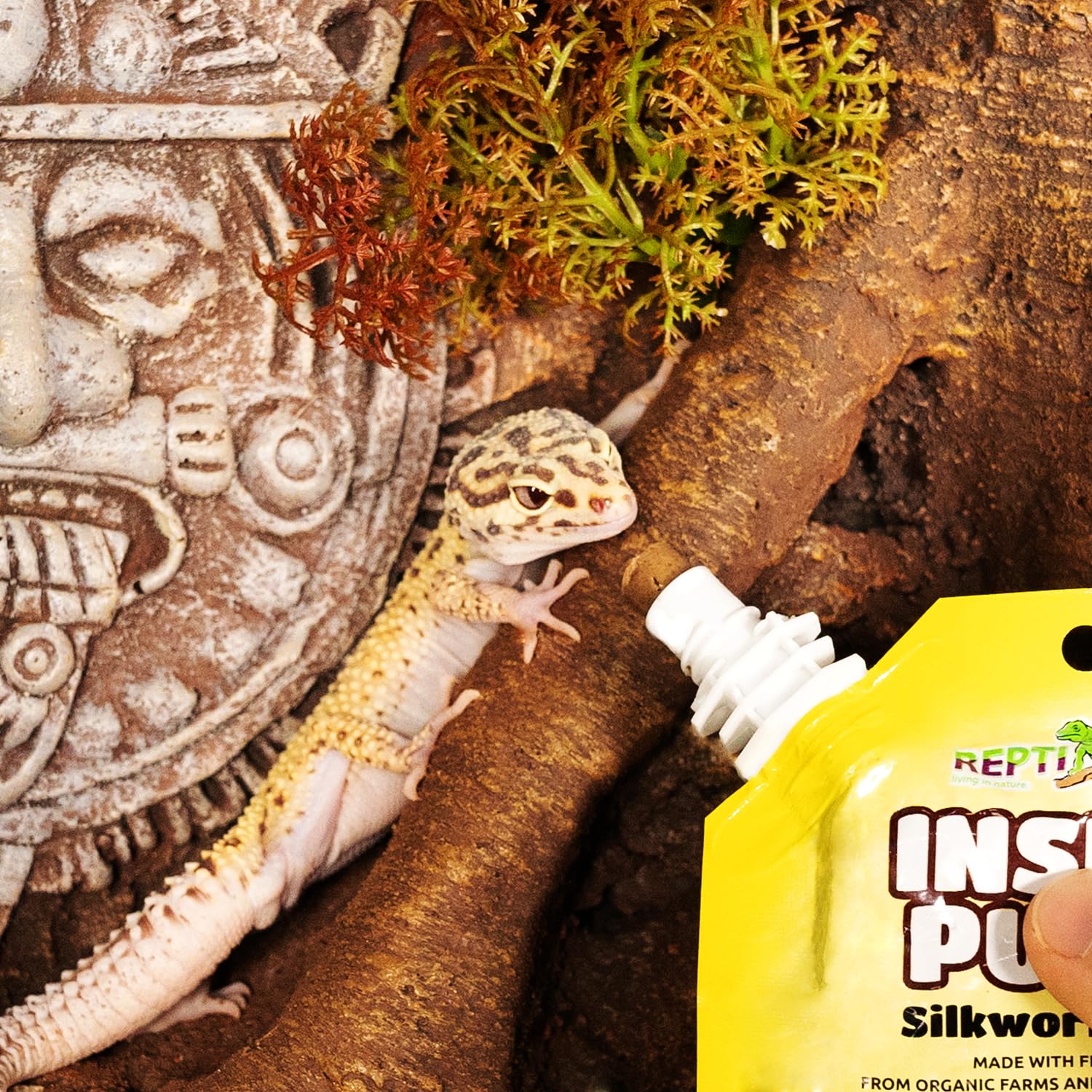 REPTIZOO FRIENDLY mealworm paste texture closeup emphasizes consistency for precise mixing