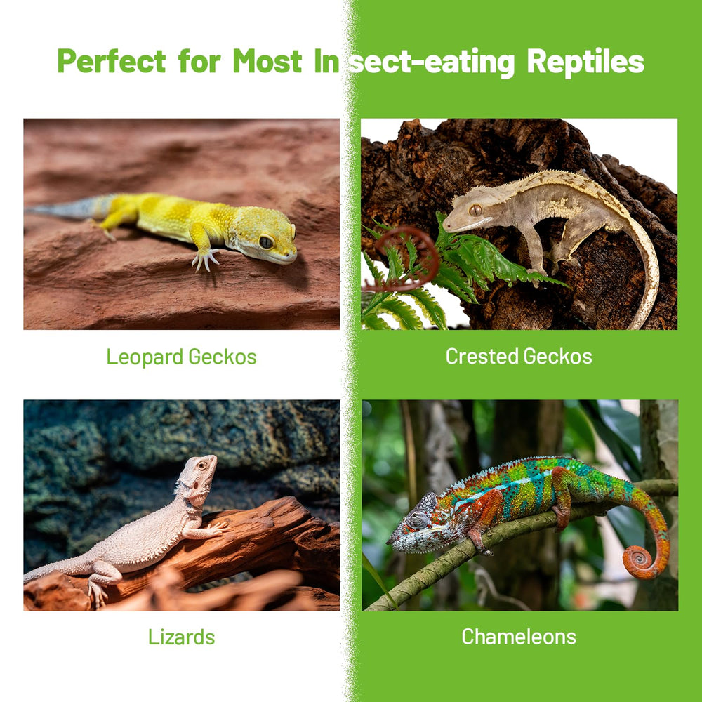 REPTIZOO FRIENDLY room-temperature serving ensures quick feeding prep.