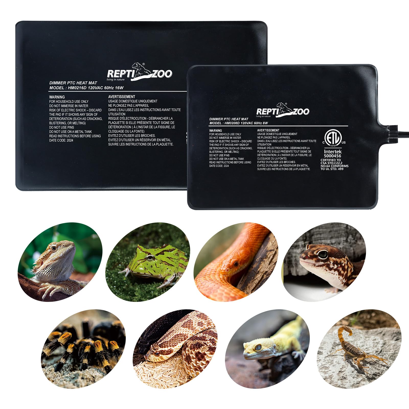 REPTI ZOO heat pad with bearded dragon setup showing warm habitat and comfort.