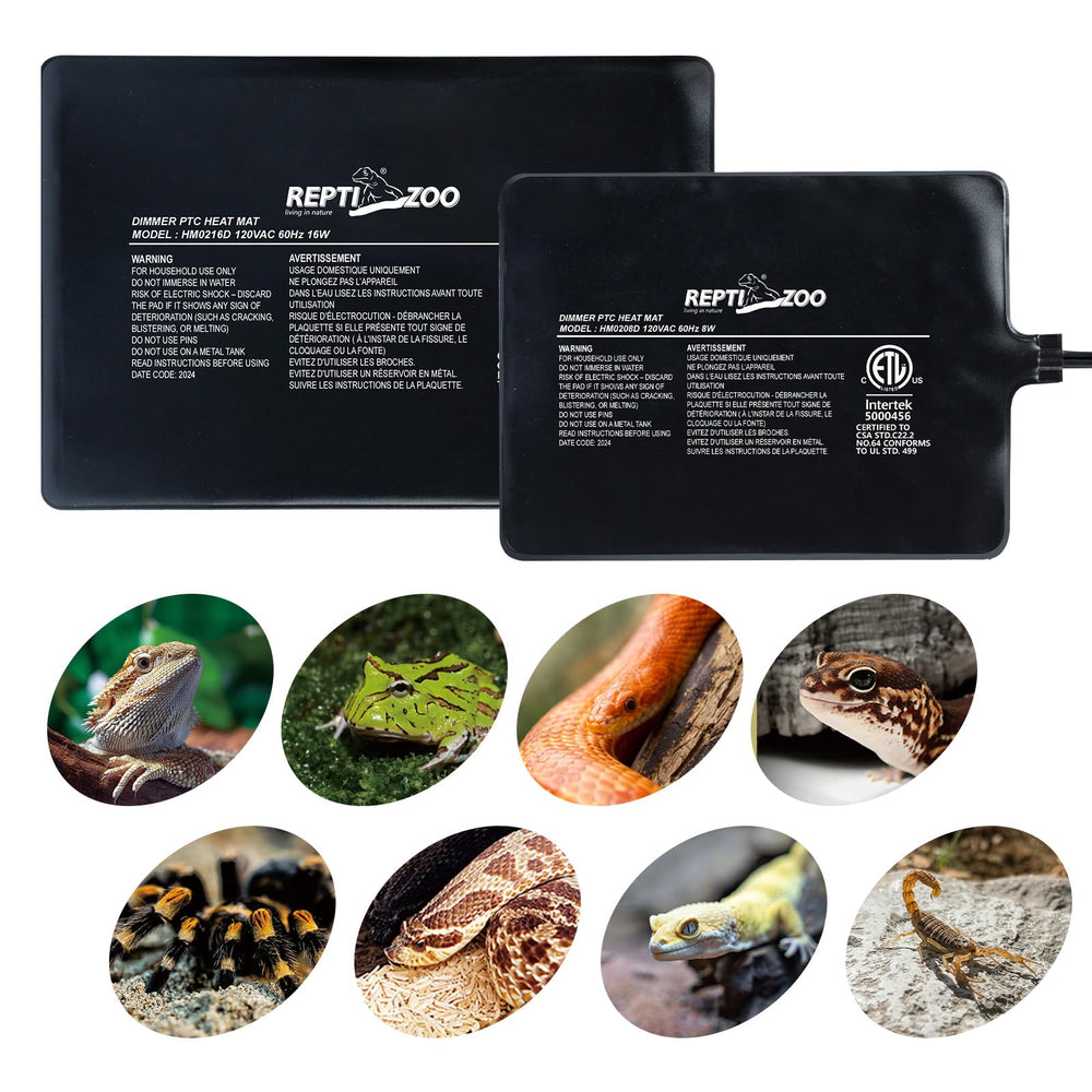 REPTI ZOO heat pad with bearded dragon setup showing warm habitat and comfort.