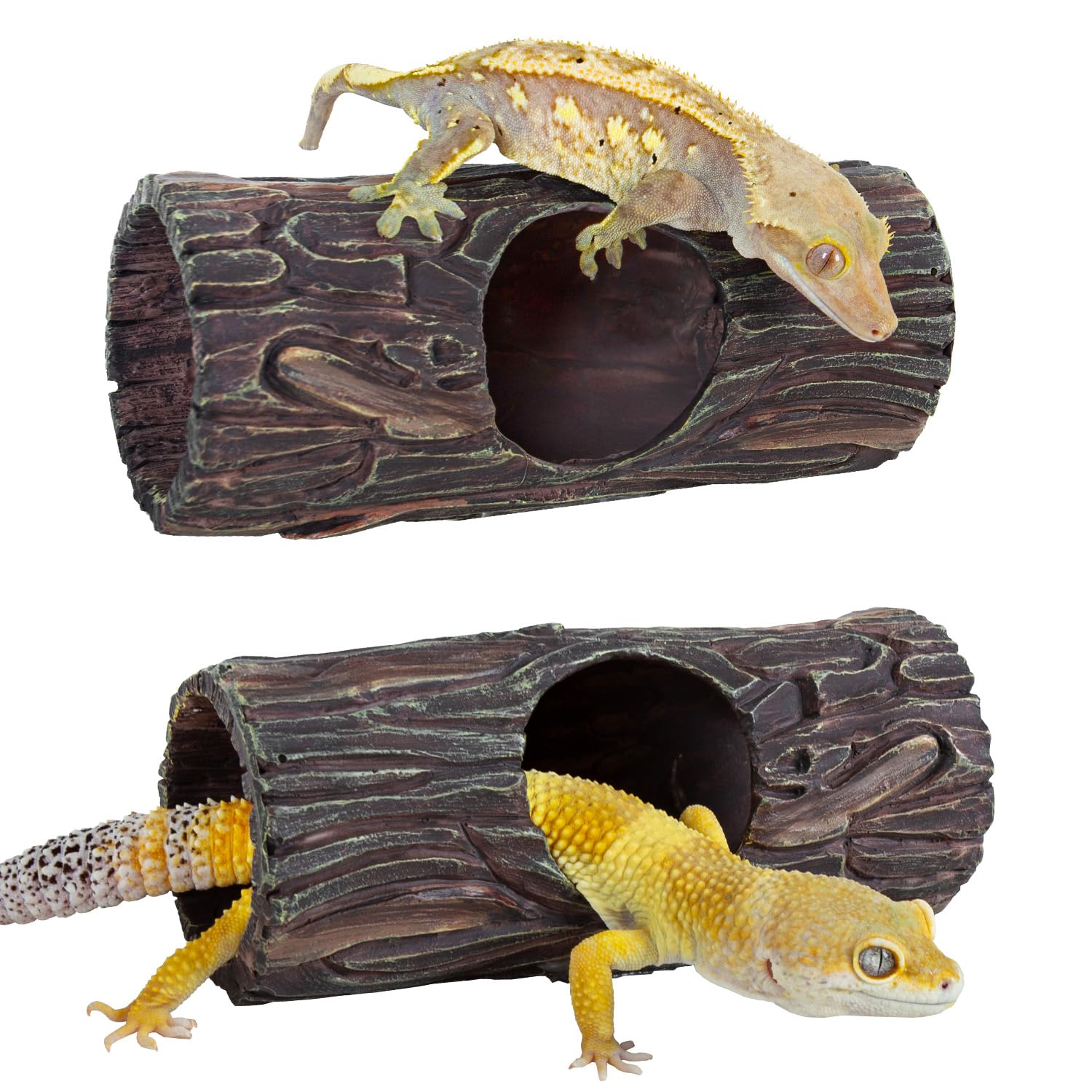 REPTIZOO natural-look terrarium decor enhances ambiance and provides hiding spots.