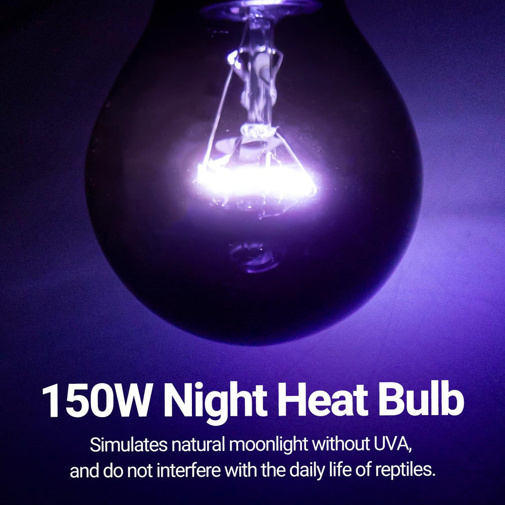 REPTIZOO purple-coated surface emitting soft night glow