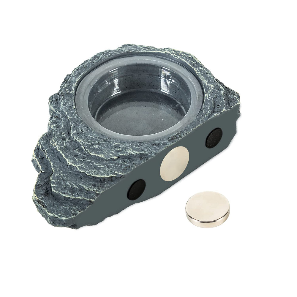 REPTIZOO feeder ledge cups image shows three replacement cups for quick cleaning