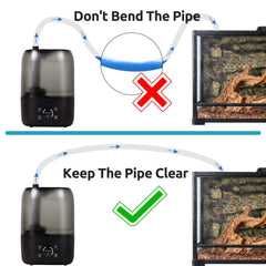 Suction-cups mounted along tank glass keep tubing neat and stable.