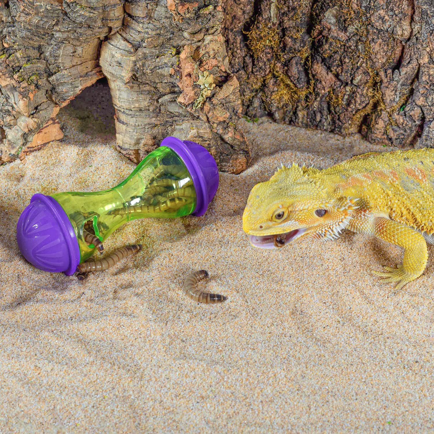 REPTIZOO two-pack bearded dragon toy offers dual enrichment options